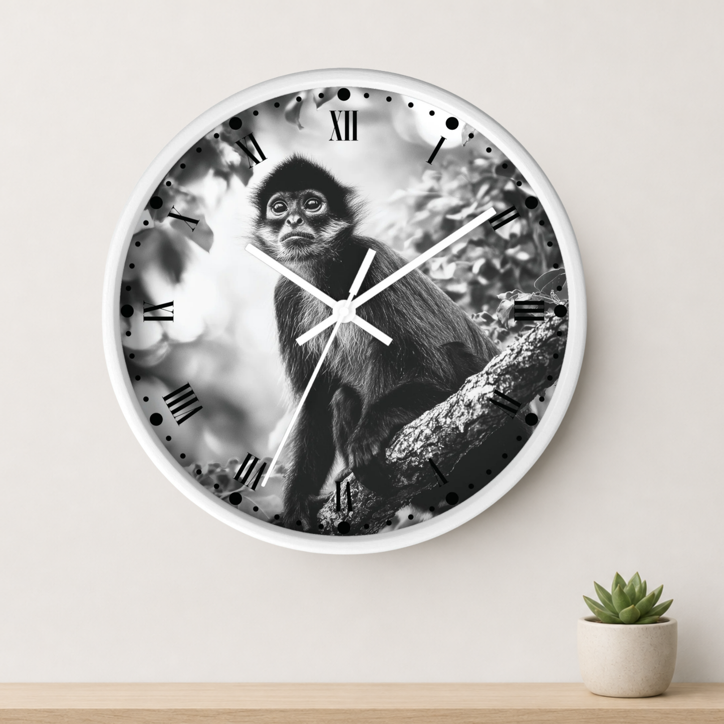 A round wall clock with a black-and-white photographic print of a monkey on the face, shown hanging on a light beige wall above a wooden surface with a small potted succulent.